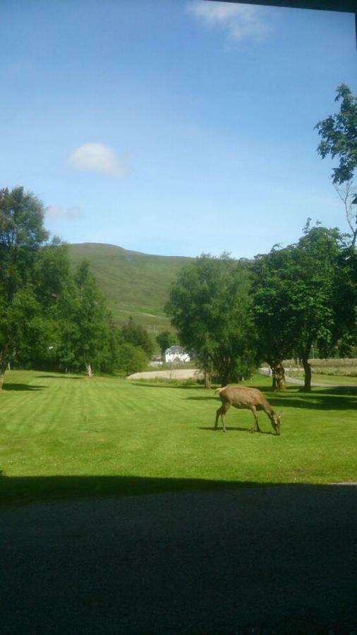 Ledgowan Lodge Hotel Achnasheen Eksteriør bilde